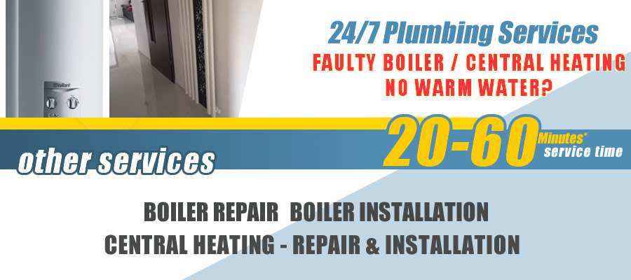 Norbury Boiler repairs